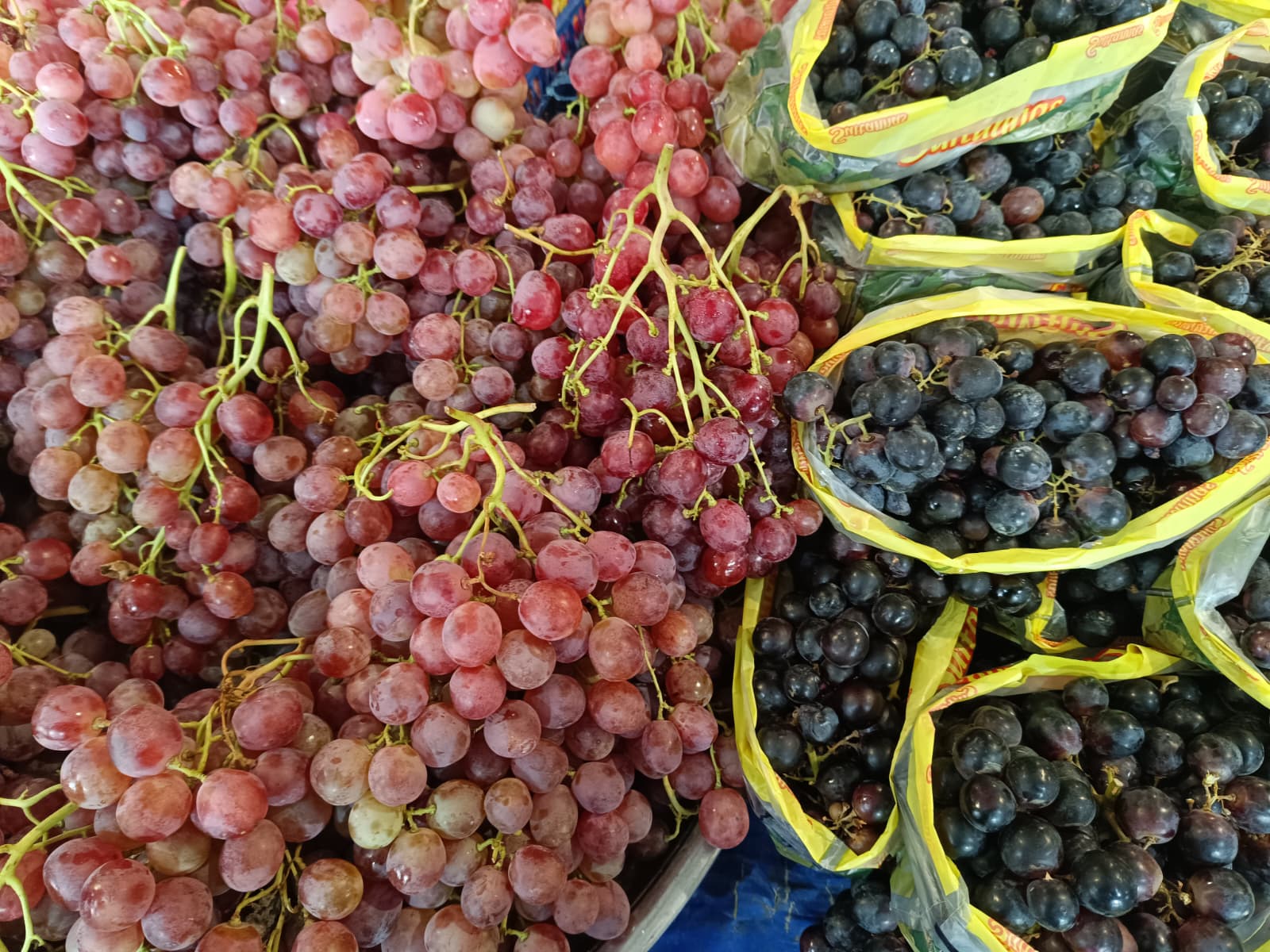 Whatsapp Image 2025 11 29 At 10.18.15 (2)