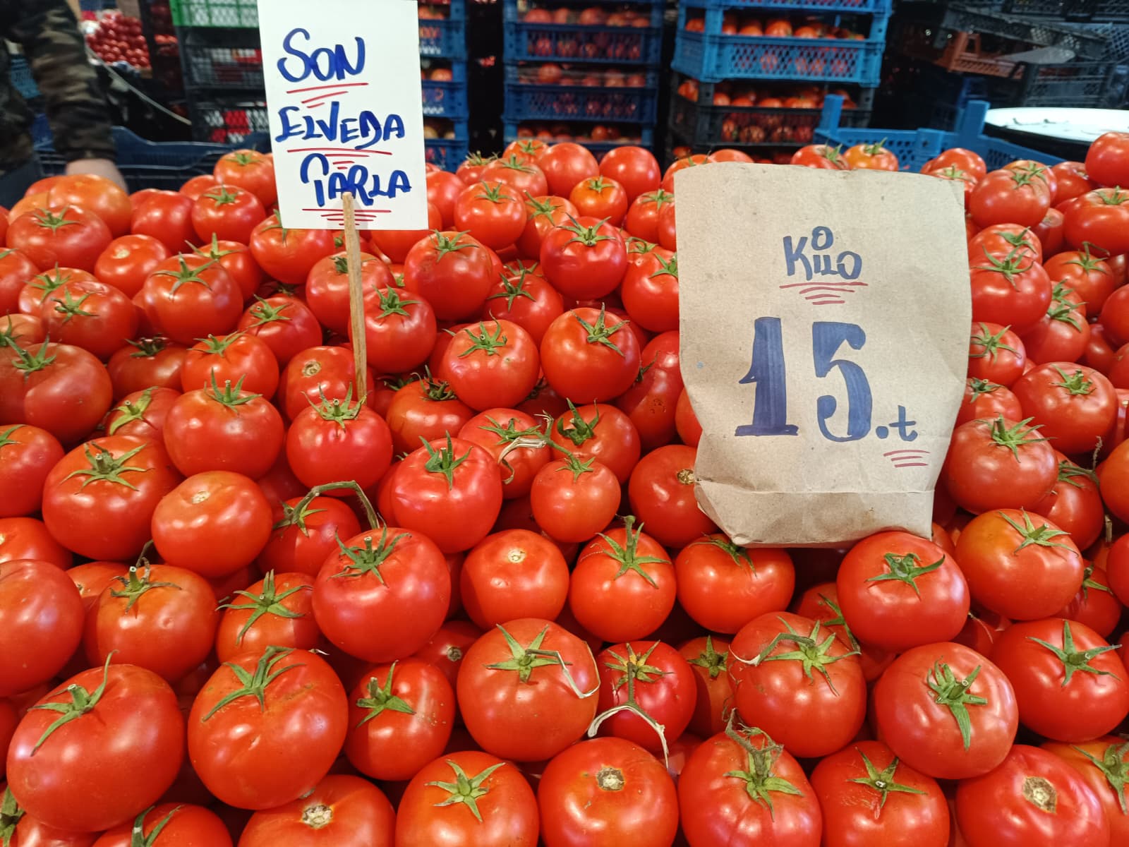 Whatsapp Image 2025 11 29 At 10.18.16