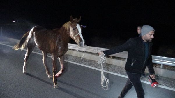 3848528 84Aa4Bae29F0Aa893F8Bb181Df42C767