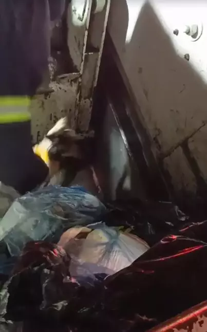 6936Cff3A322C59Cc7854B5D