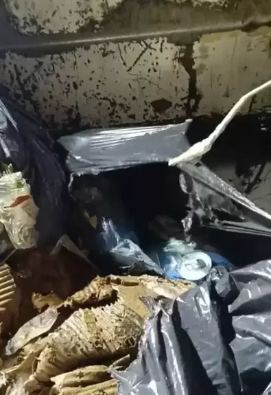 6936Cff3A322C59Cc7854B5E