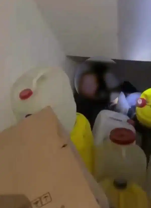 87B559Ad 8119 4Ea5 B92A 0A63114E487F