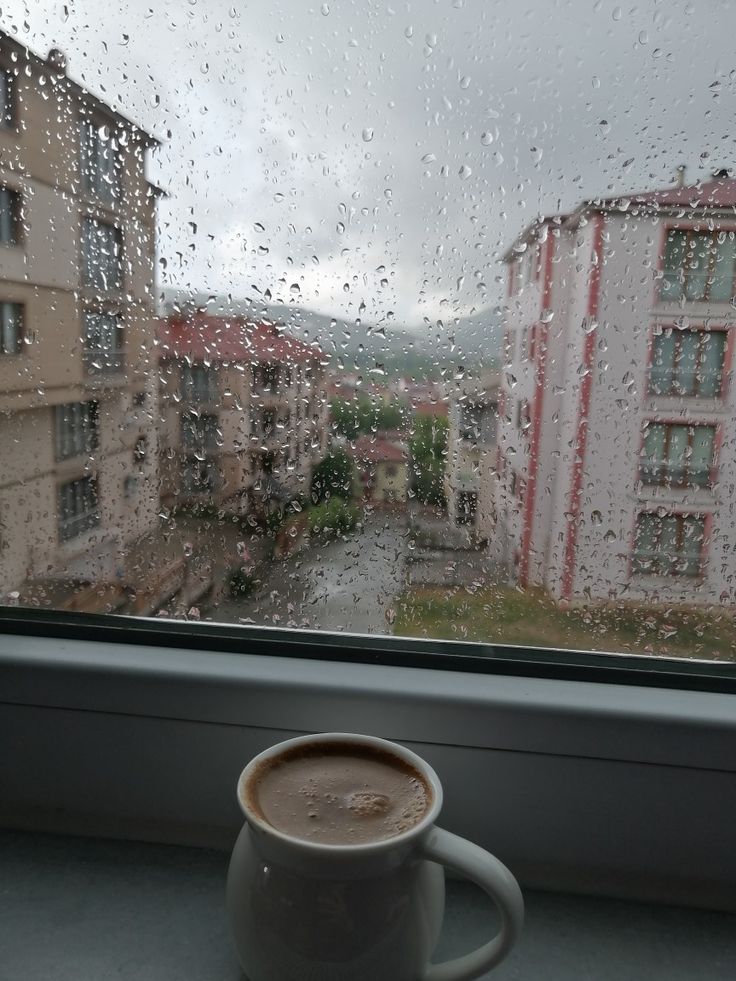 9Fc7Ba1Dcf452E875534C8863C81085B