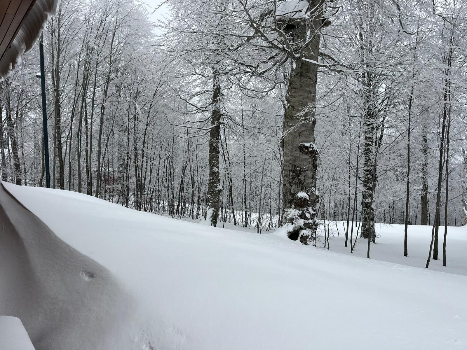 Aa 20251229 40106371 40106370 Kartepede Kar Kalinligi 55 Santimetre Olculdu 1767025405