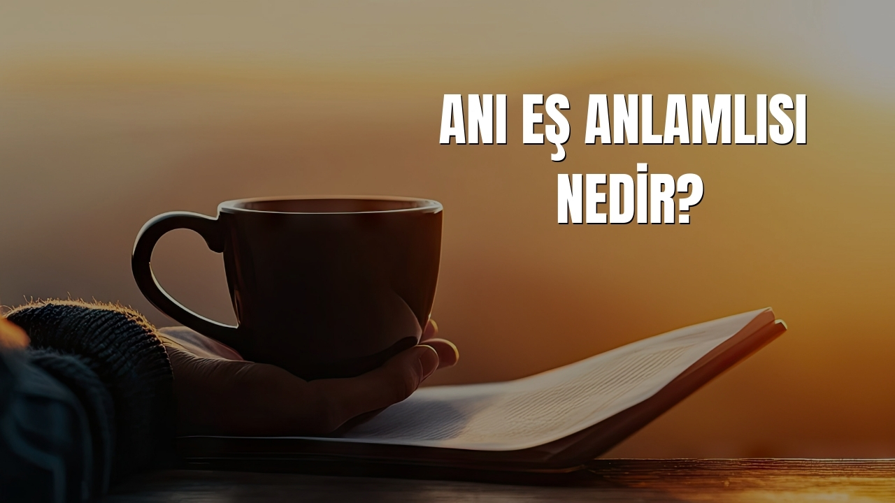 Ani Es Anlamlisi Nedir