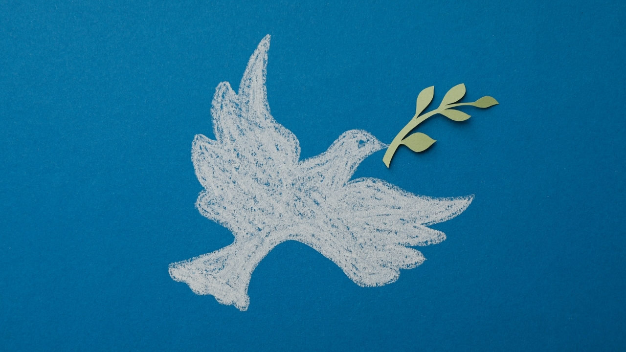 Baris Es Anlamlisi Nedir