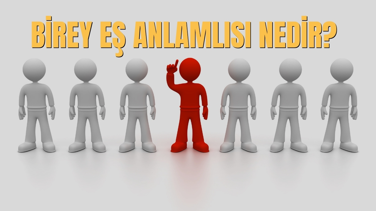 Birey Es Anlamlisi Nedir