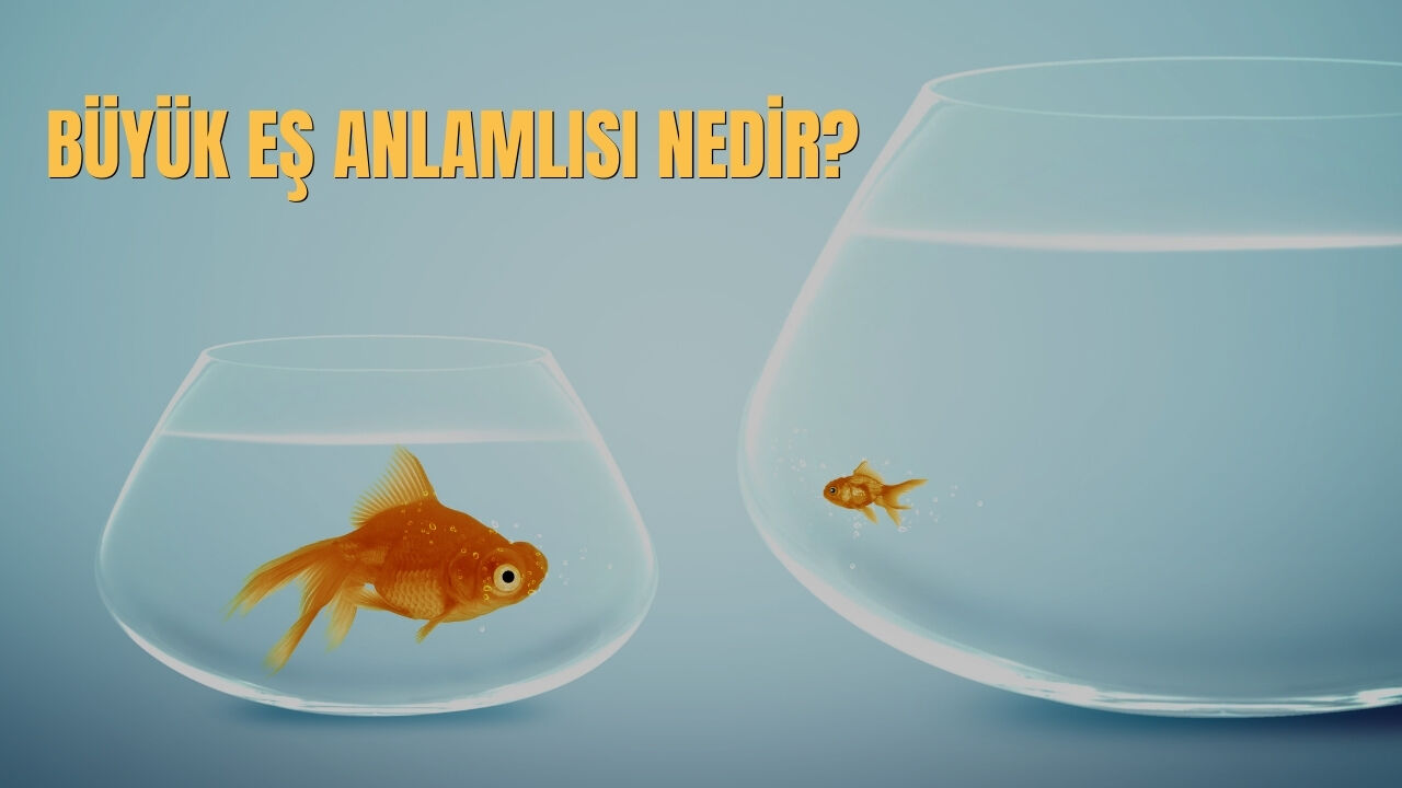 Buyuk Es Anlamlisi Nedir