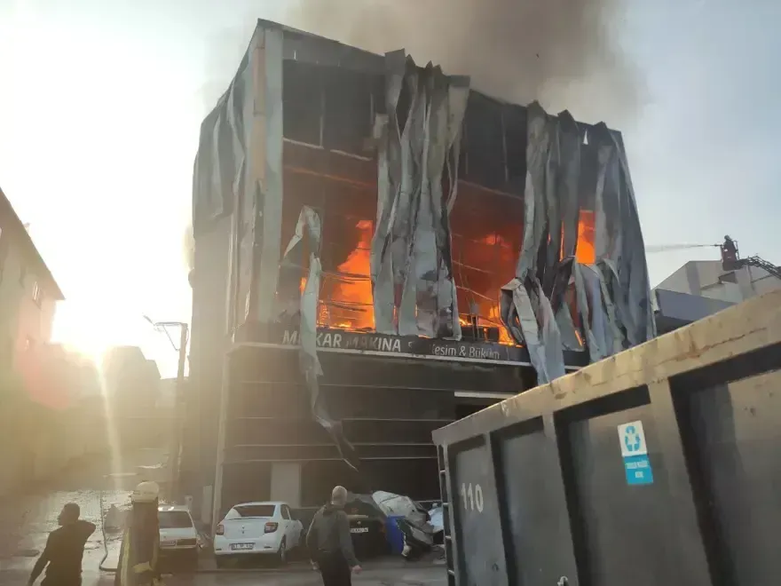 Dilovasi Fabrika 1764847902