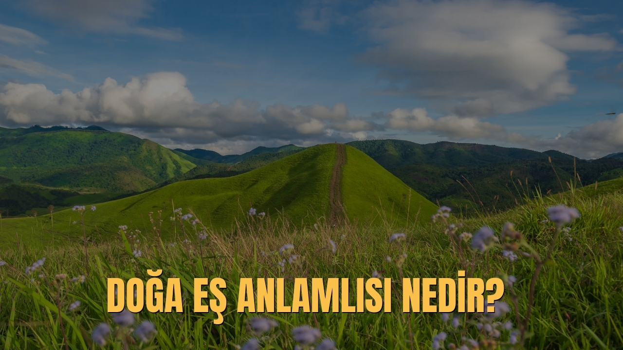 Doga Es Anlamlisi Nedir