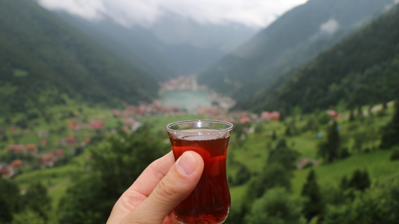 Dunya Cay Gunu 15 Aralik