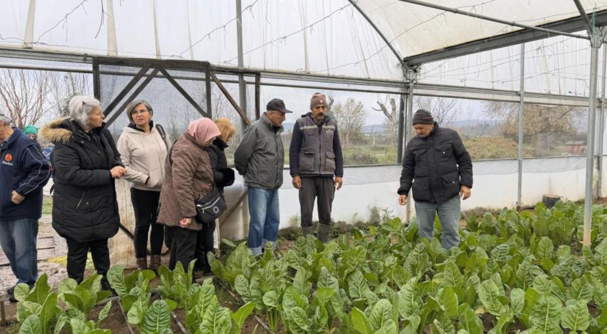 Ekran Görüntüsü 2025 12 26 135253