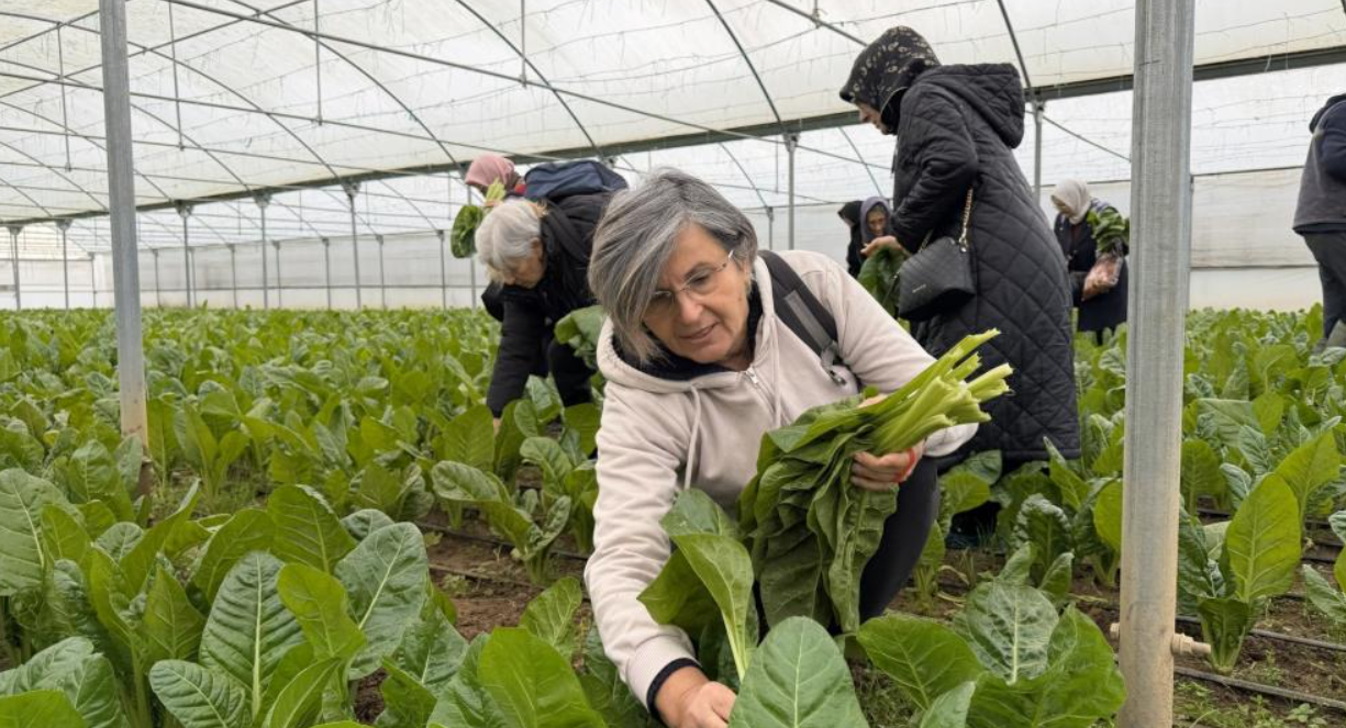 Ekran Görüntüsü 2025 12 26 135348