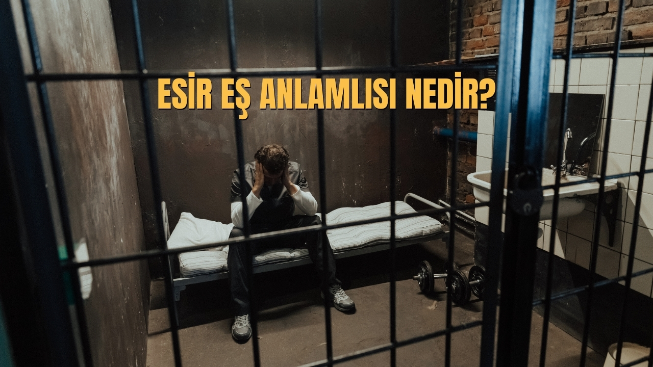Esir Es Anlamlisi Nedir