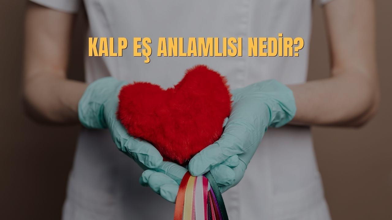 Kalp Es Anlamlisi Nedir