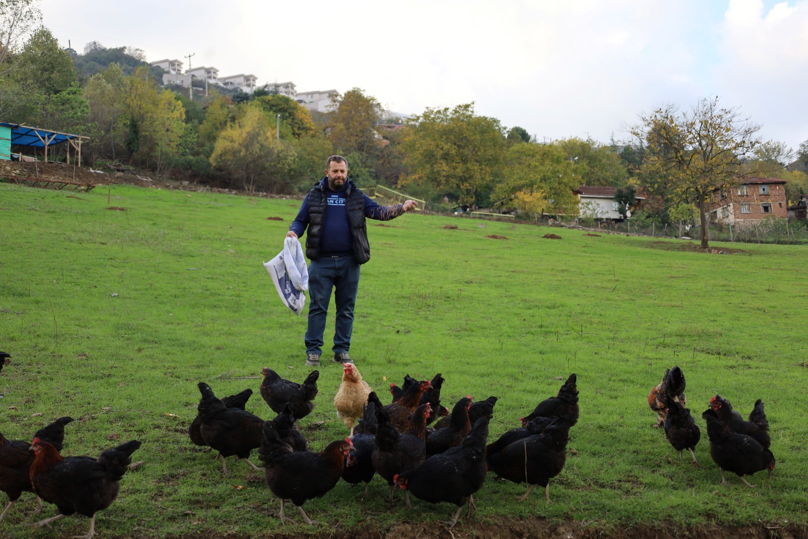 Kırsalda Geçim Kapısı Güçleniyor, Istihdam Artıyor (2)