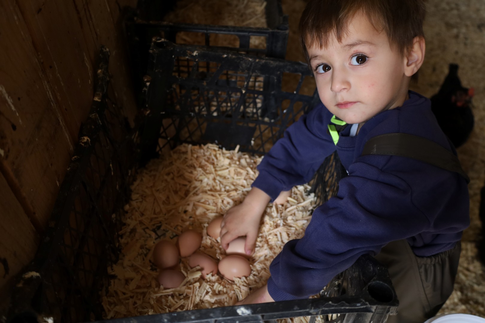 Kırsalda Geçim Kapısı Güçleniyor, Istihdam Artıyor (9)