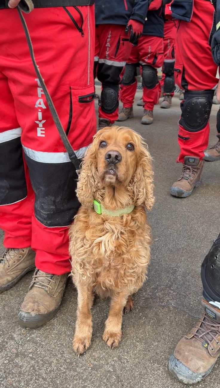 Kocaeli Büyükşehir İtfaiyesi, Afad'tan Tam Yetki Aldı (1)