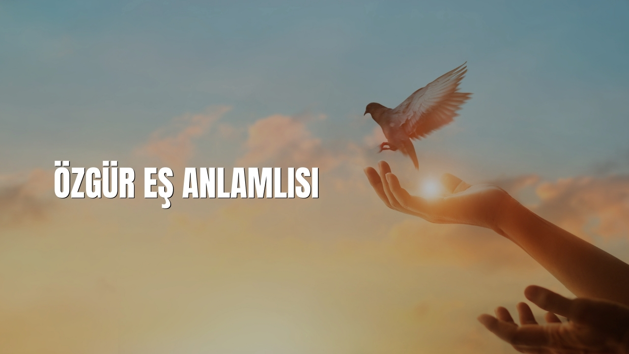 Ozgur Es Anlamlisi Nedir