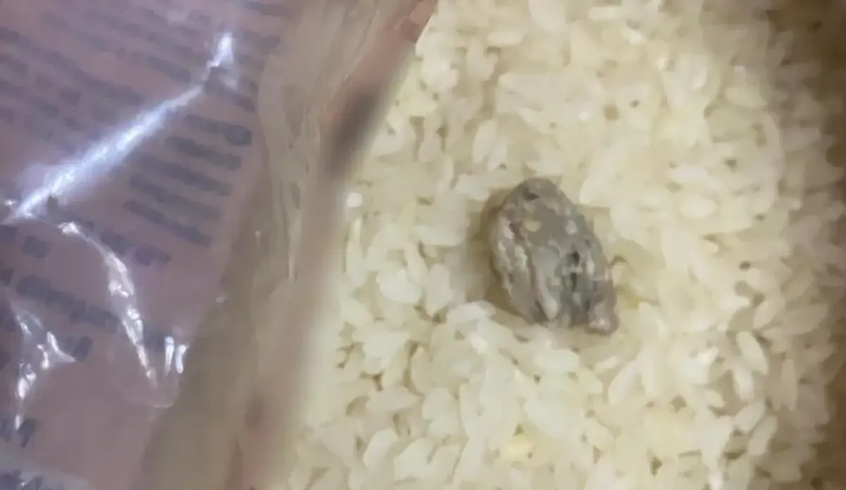 Pirinçten Çıkan Şoke Etti (1)