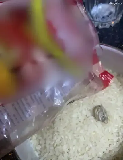 Pirinçten Çıkan Şoke Etti (3)