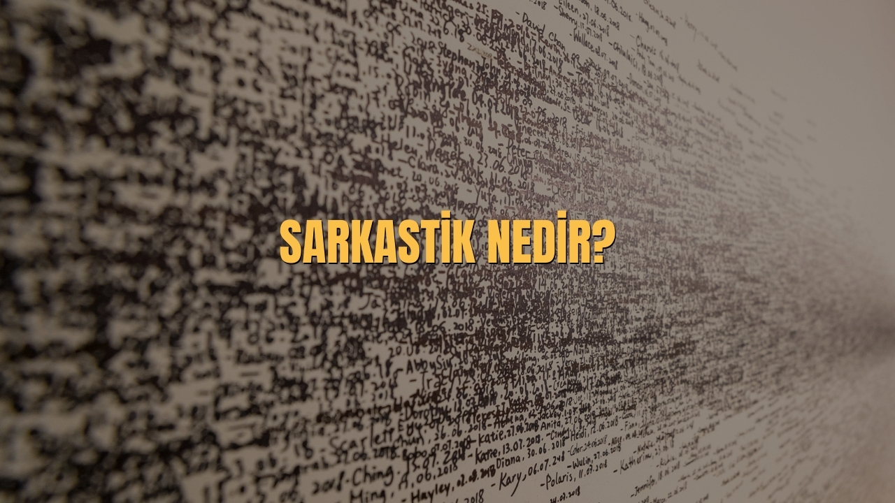 Sarkastik Nedir