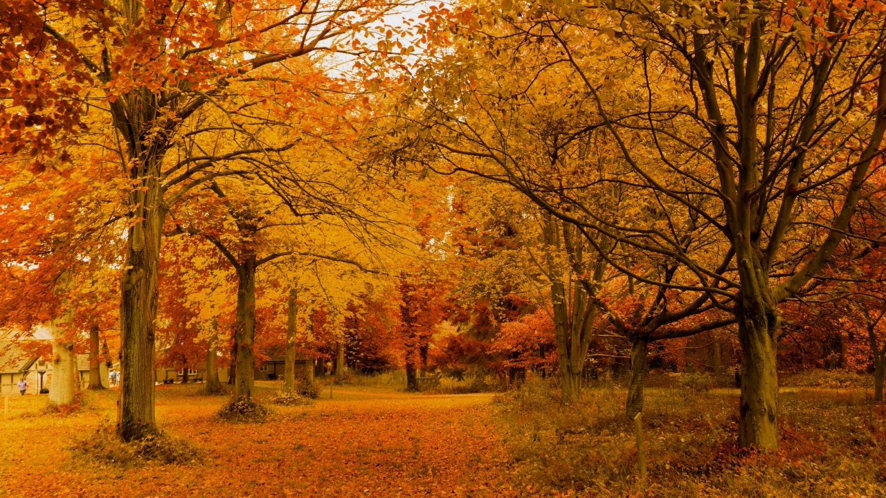 Sonbahar Es Anlamlisi Nedir