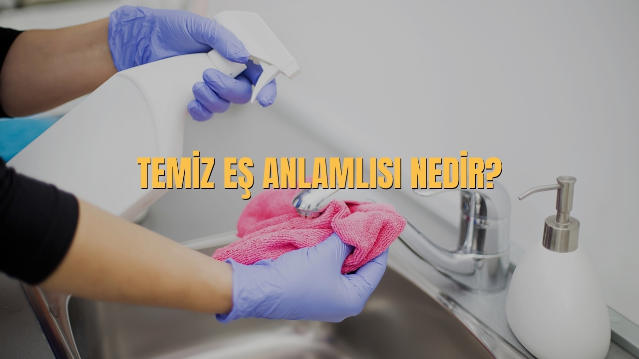 Temiz Es Anlamlisi Nedir