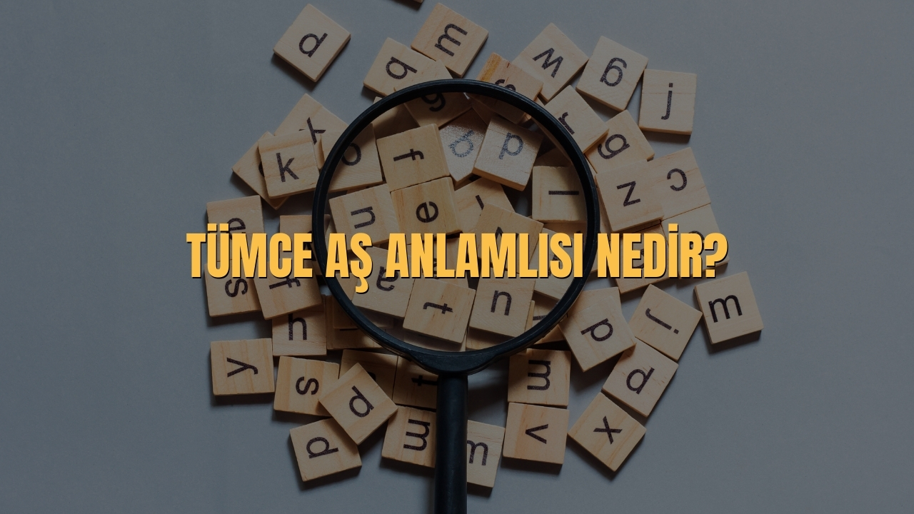 Tumce Es Anlamlisi Nedir