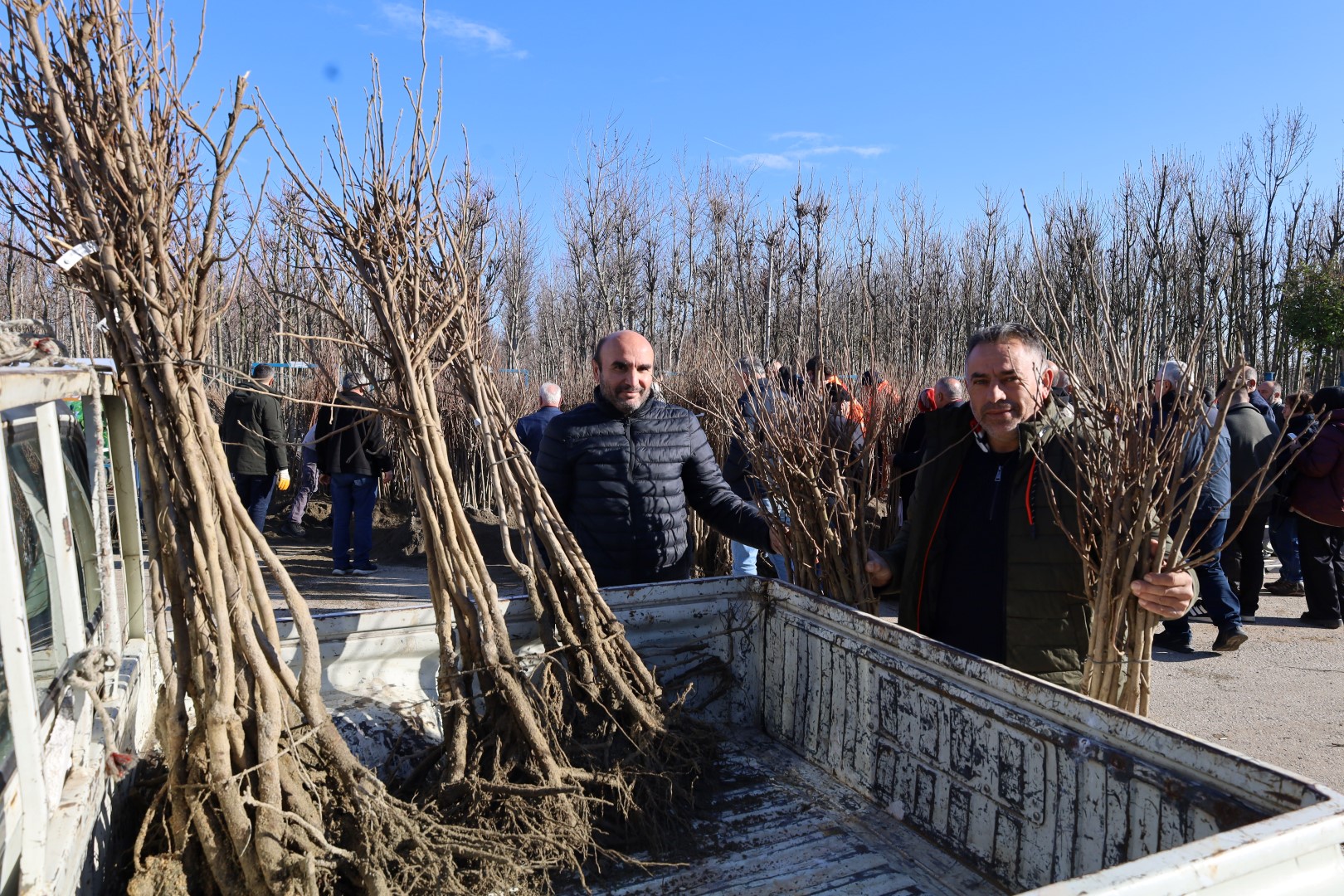Üreticilere 3 Bin 600 Trabzon Hurması Fidanı Dağıtıldı (10)