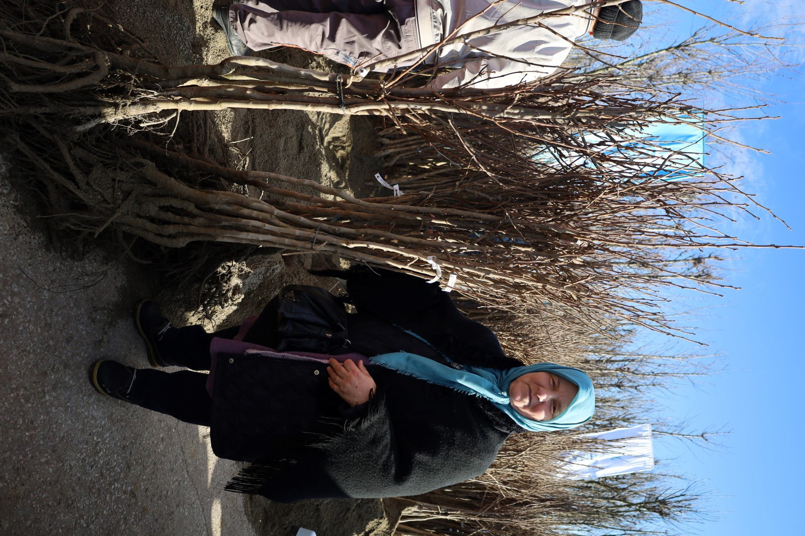 Üreticilere 3 Bin 600 Trabzon Hurması Fidanı Dağıtıldı (7)