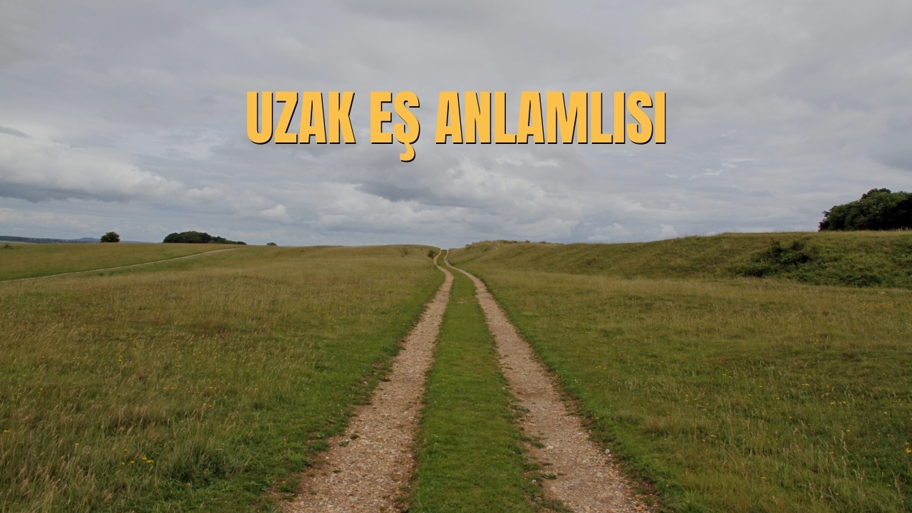Uzak Es Anlamlisi