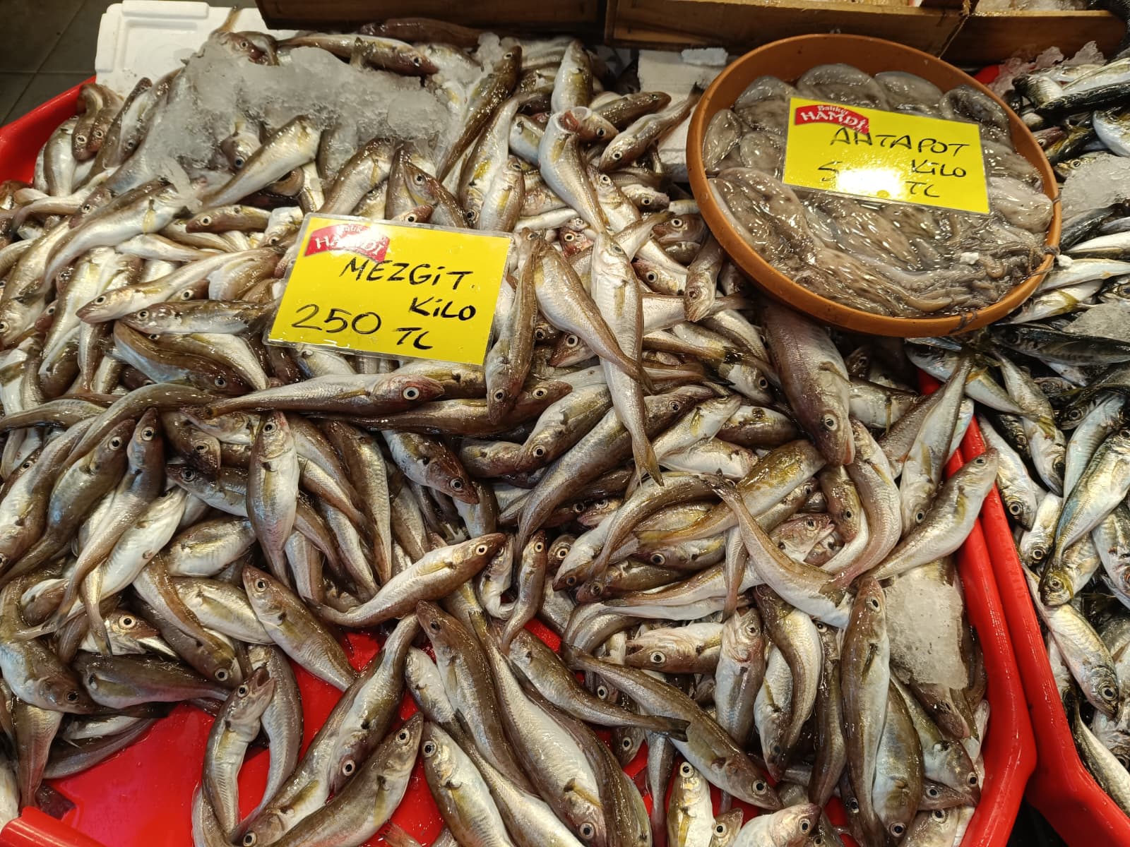 Whatsapp Image 2025 12 01 At 15.28.35