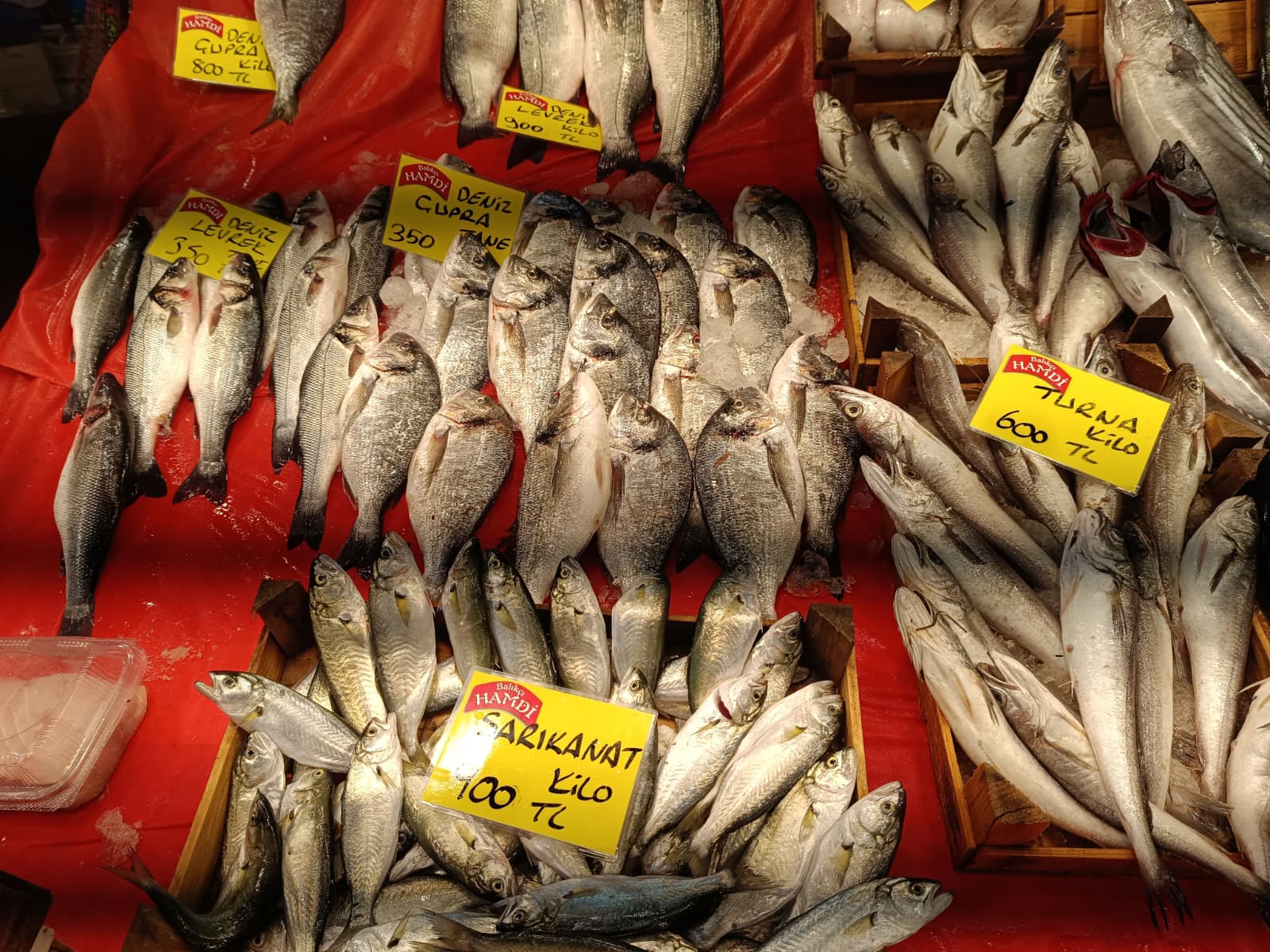 Whatsapp Image 2025 12 01 At 15.28.36