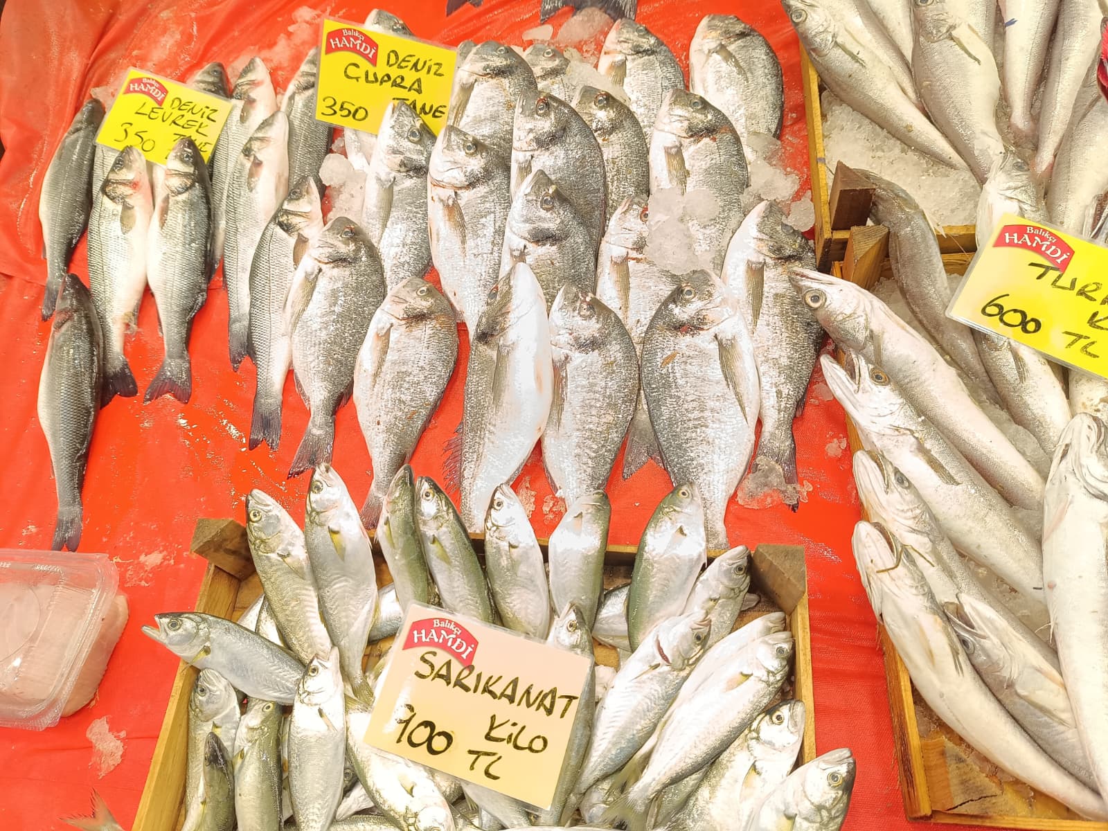 Whatsapp Image 2025 12 01 At 15.28.49