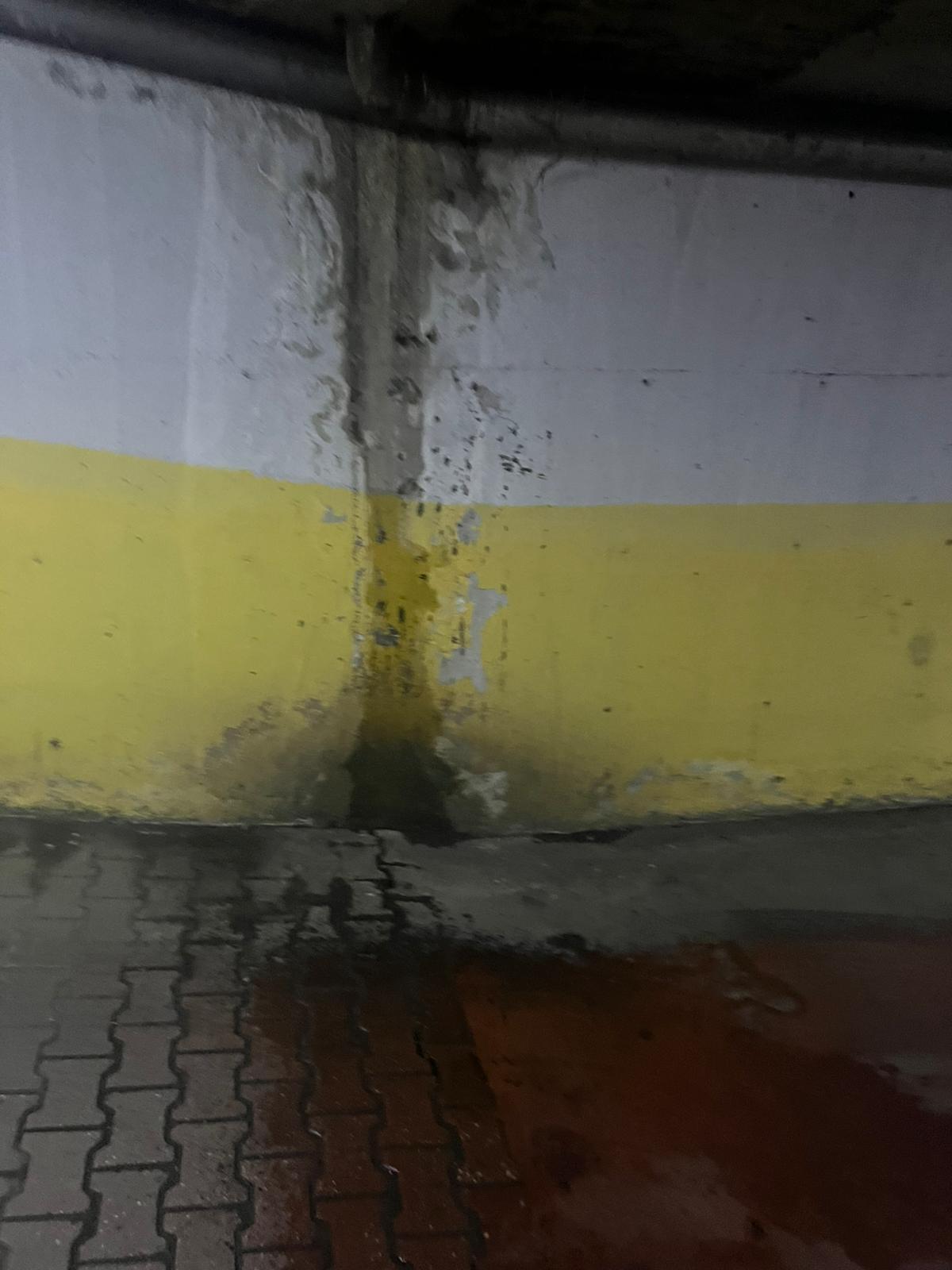 Whatsapp Image 2025 12 03 At 08.01.19