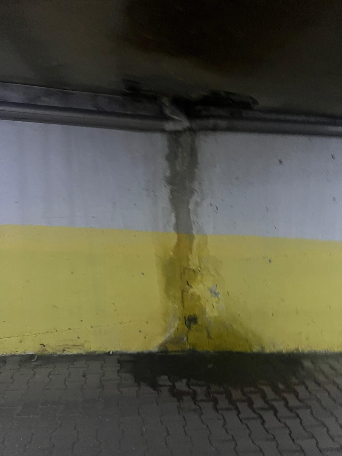 Whatsapp Image 2025 12 03 At 08.01.21 (2)