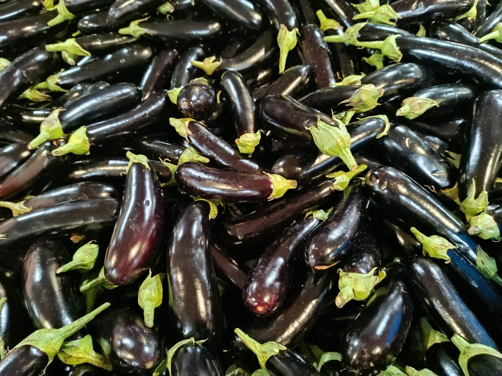 Whatsapp Image 2025 12 04 At 09.52.02