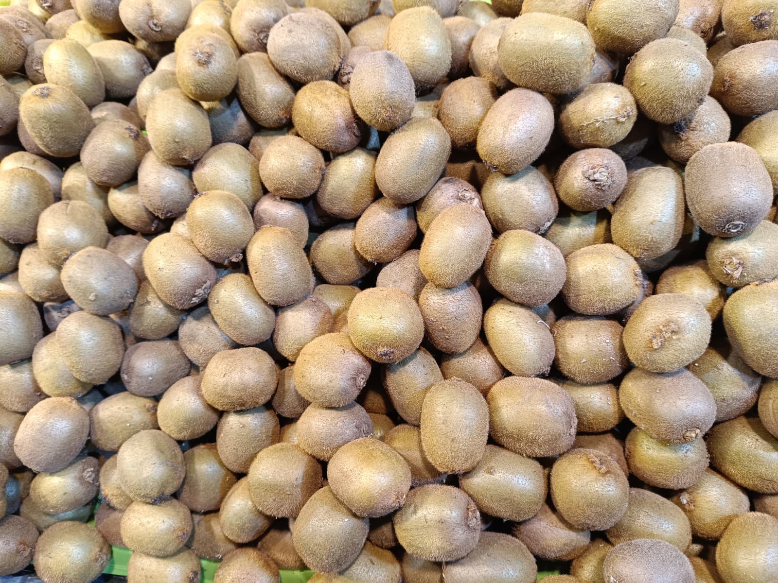 Whatsapp Image 2025 12 04 At 09.52.04