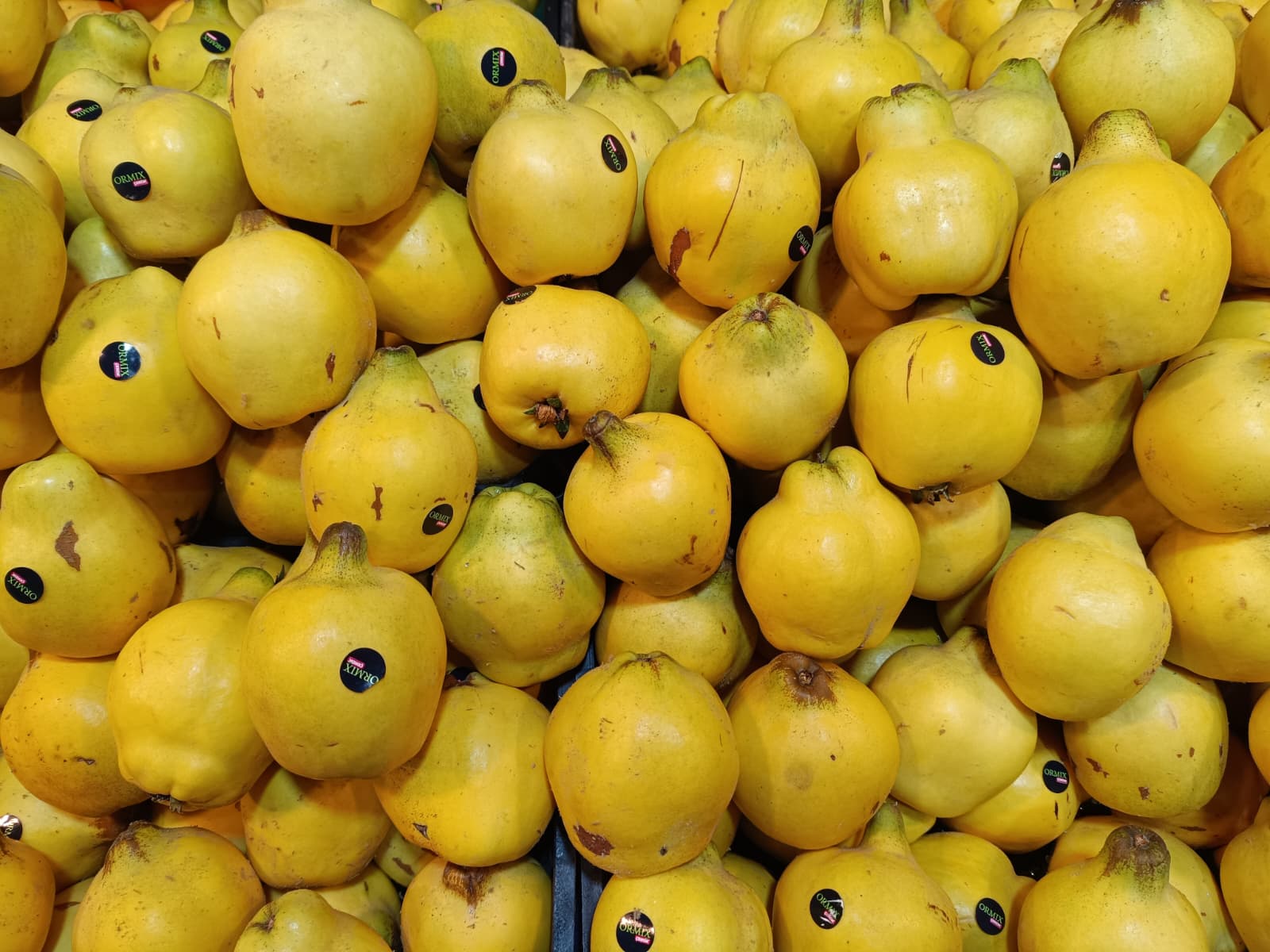 Whatsapp Image 2025 12 04 At 09.52.05