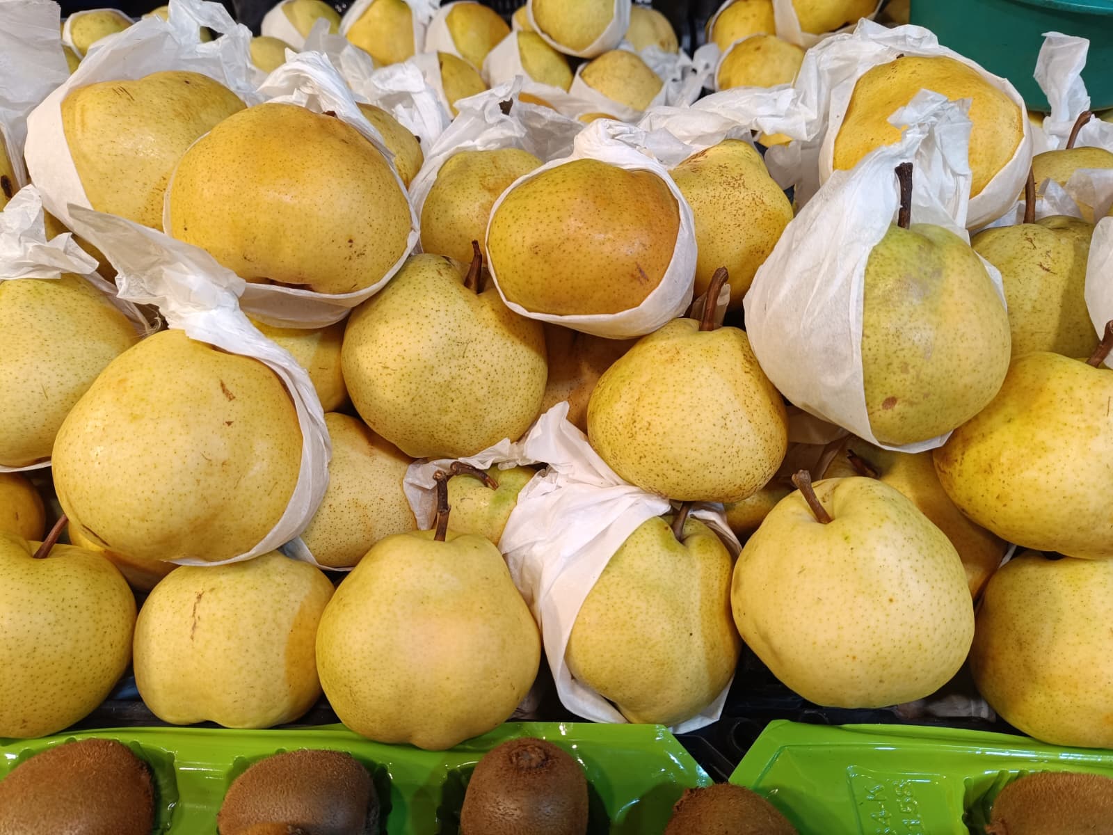 Whatsapp Image 2025 12 04 At 09.52.06 (1)