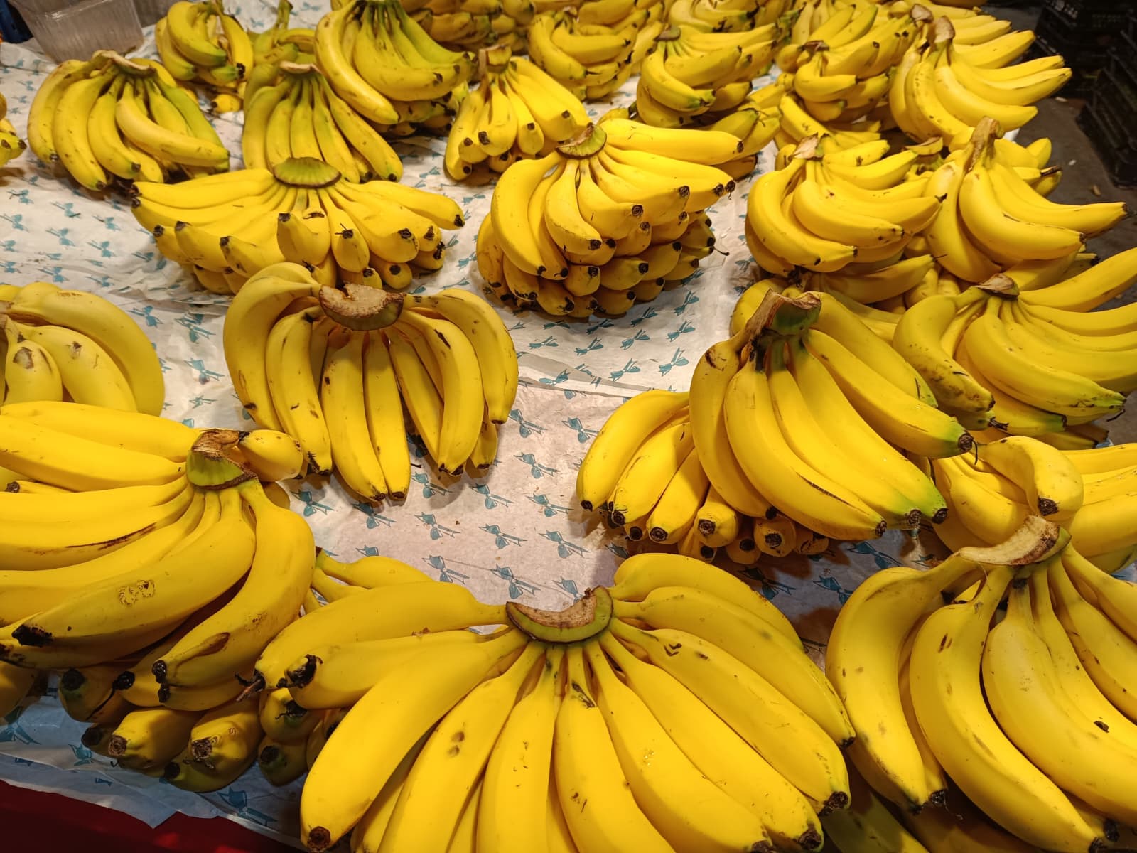 Whatsapp Image 2025 12 04 At 09.52.06