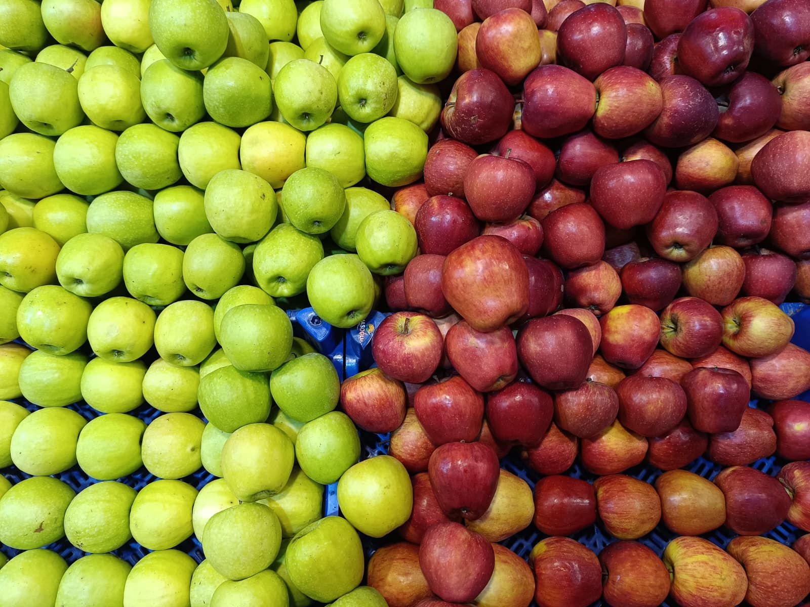 Whatsapp Image 2025 12 04 At 09.52.16