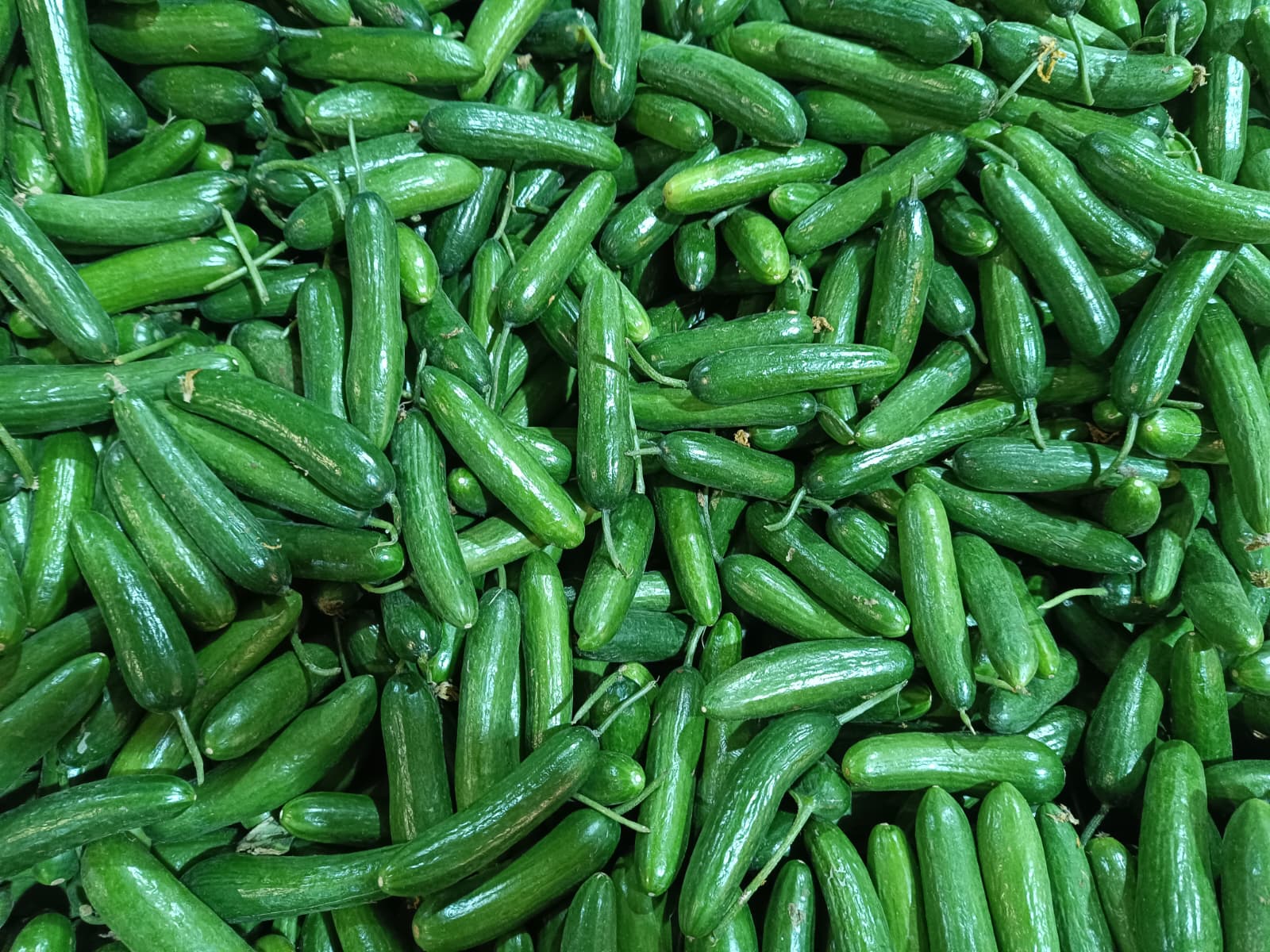 Whatsapp Image 2025 12 04 At 09.52.17 (1)