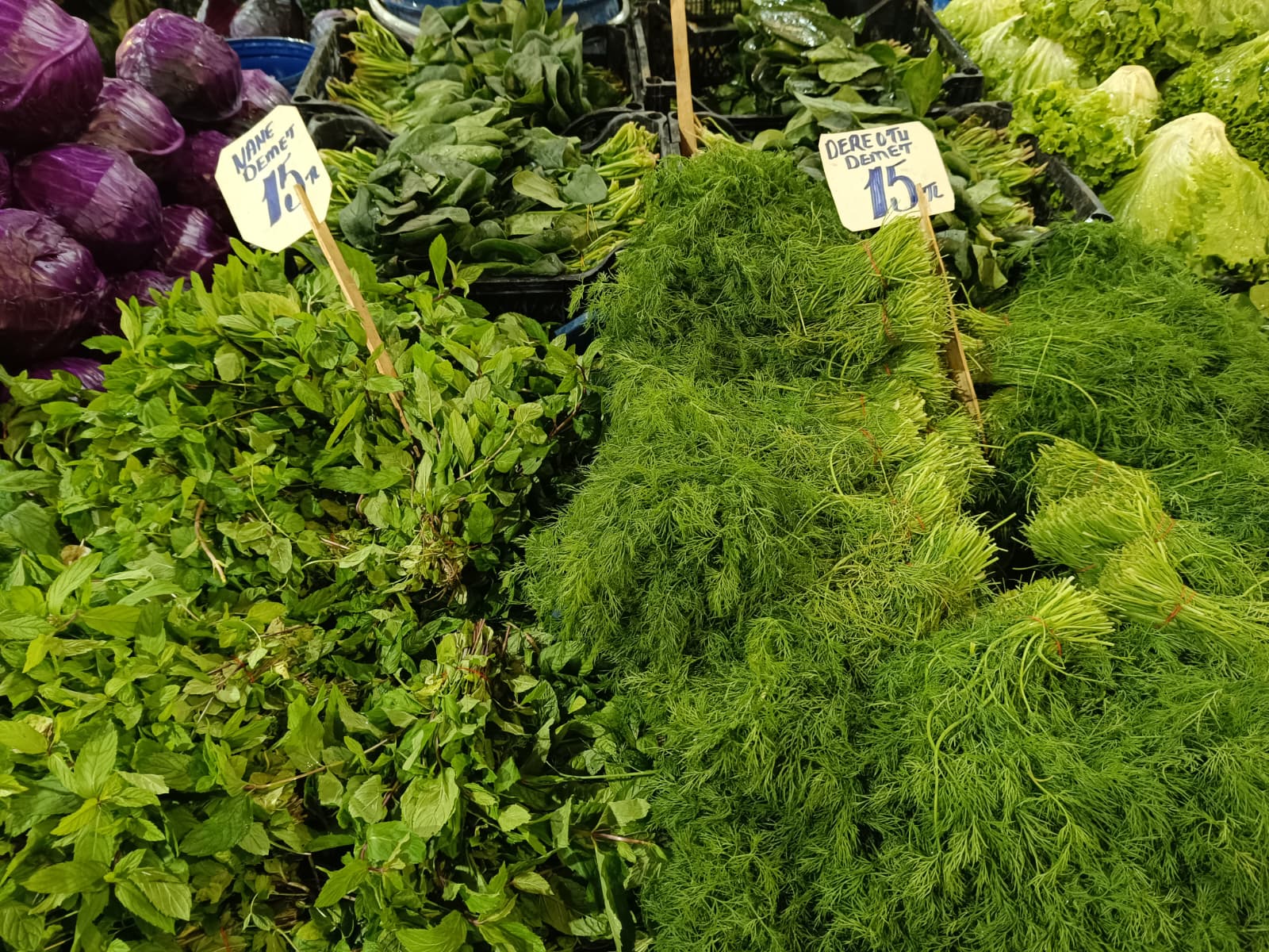 Whatsapp Image 2025 12 04 At 09.52.18