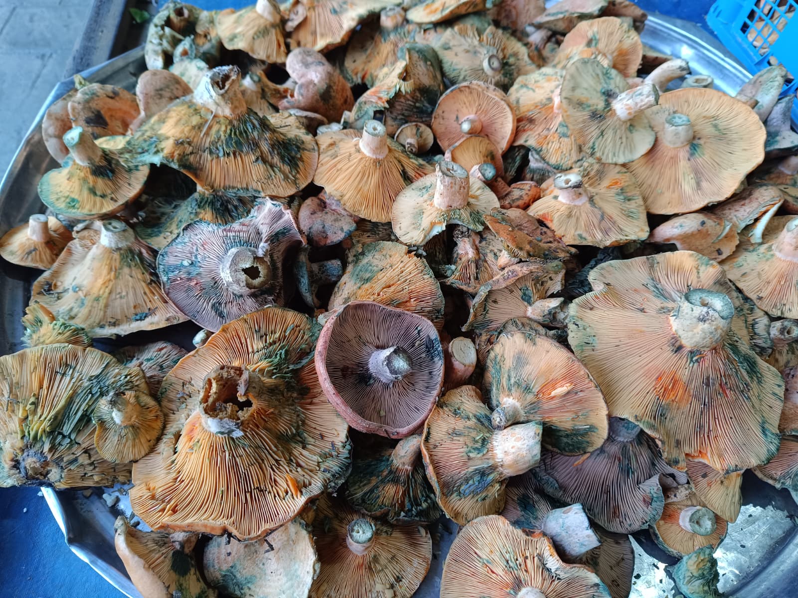 Whatsapp Image 2025 12 04 At 09.52.19 (1)