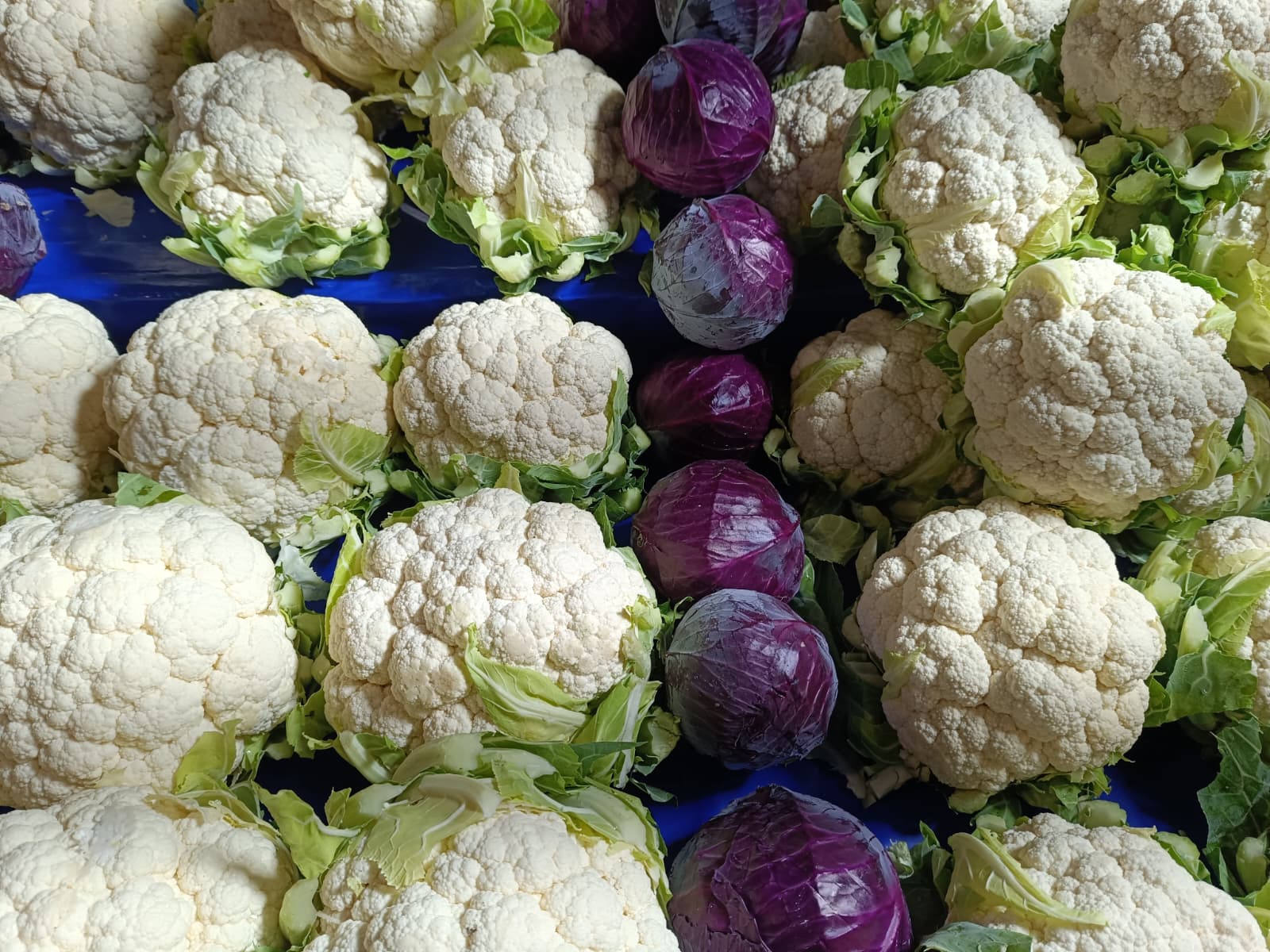 Whatsapp Image 2025 12 04 At 09.52.19