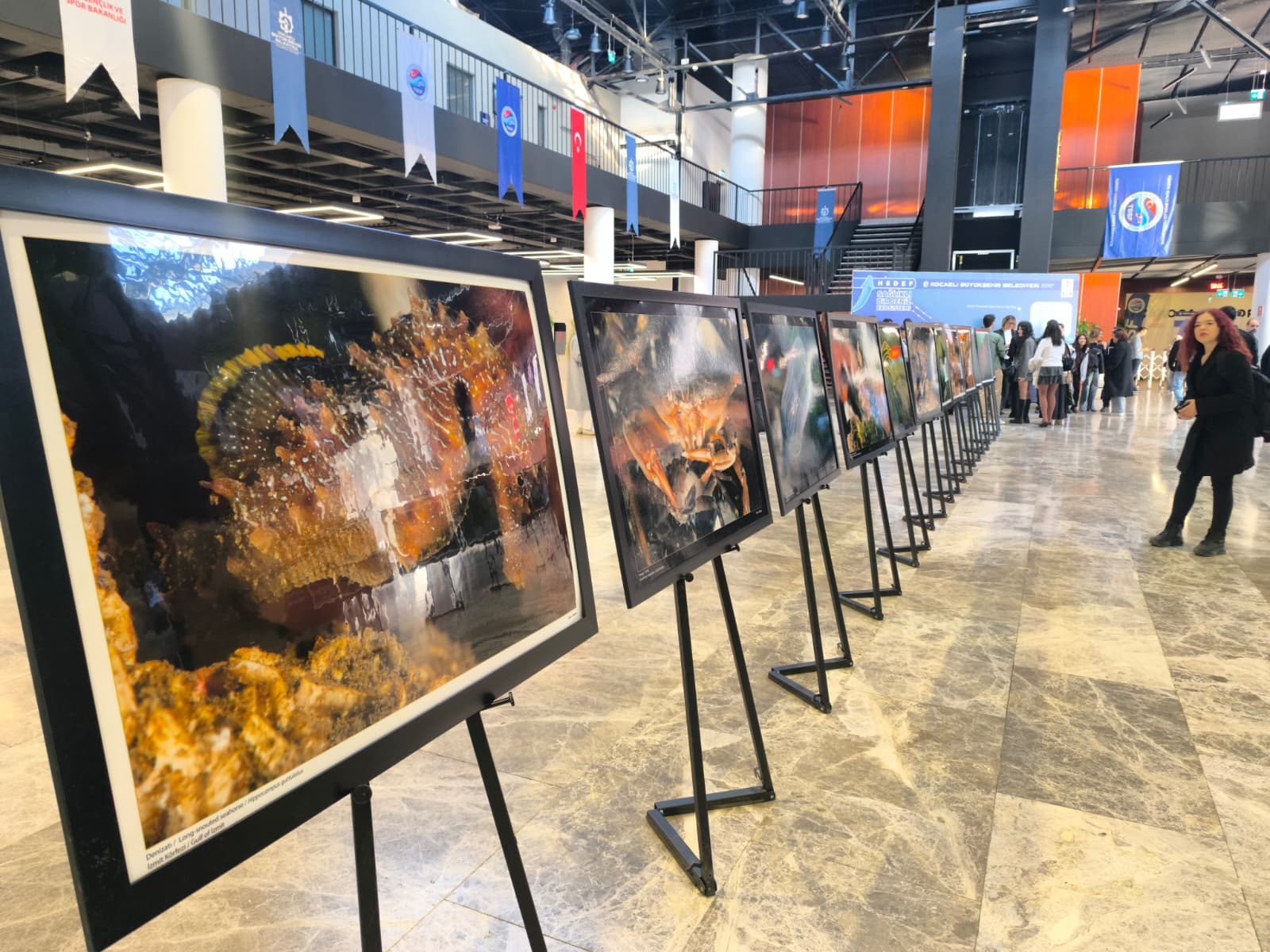 Whatsapp Image 2025 12 05 At 11.34.03