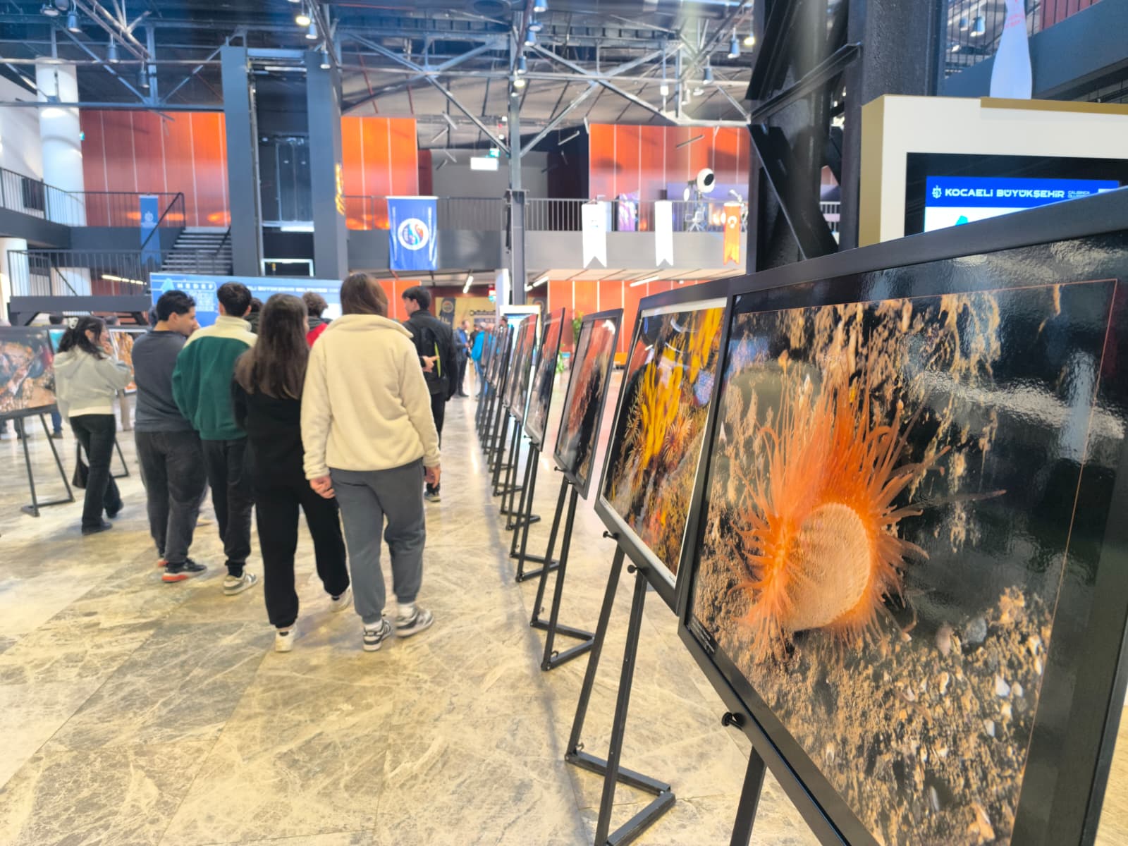 Whatsapp Image 2025 12 05 At 11.34.04