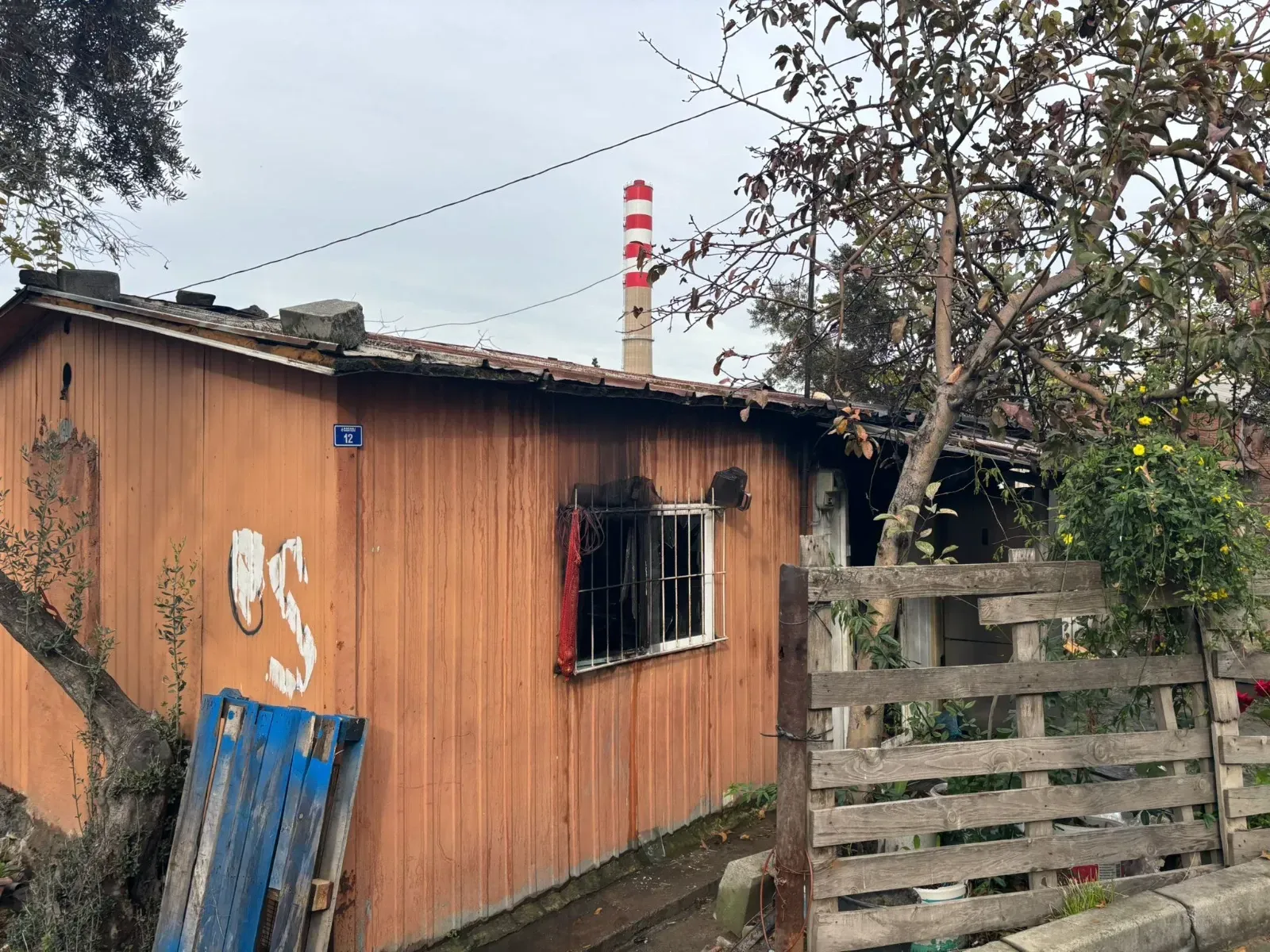 Whatsapp Image 2025 12 05 At 132918